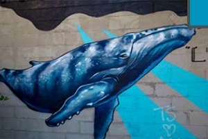 MURAL-Whale-Song