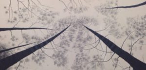 Imbachi's "Untitled" (from the series graphix loggia)