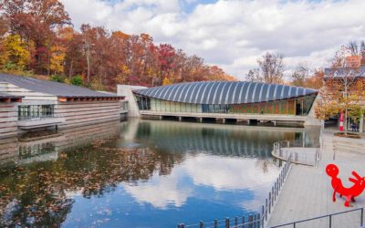 Crystal Bridges Museum of American Art announces board leadership transition